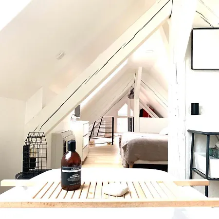 La Cle Des Toits Apartment Colmar Exterior photo
