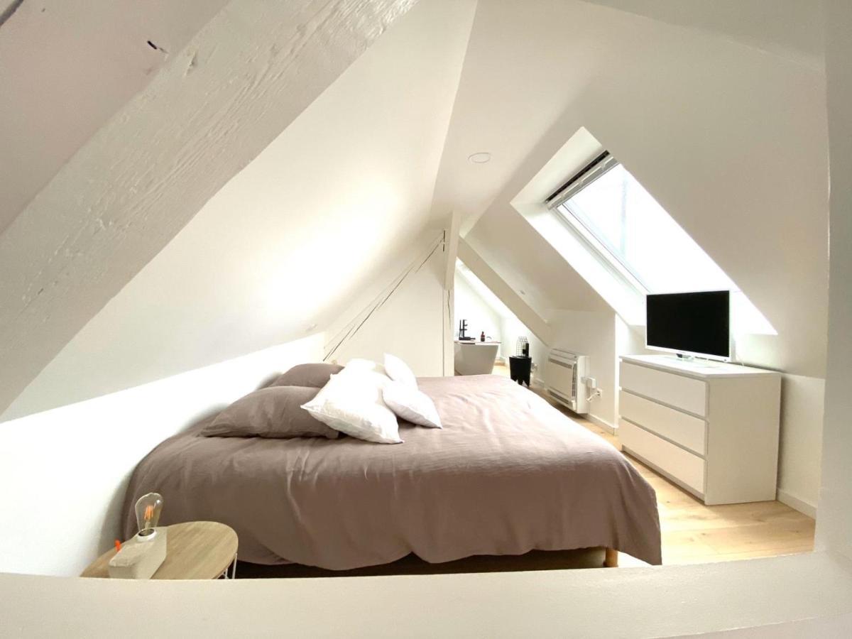 La Cle Des Toits Apartment Colmar